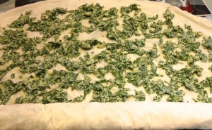 IMG_1128_2