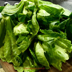 Cibes otu salatası1