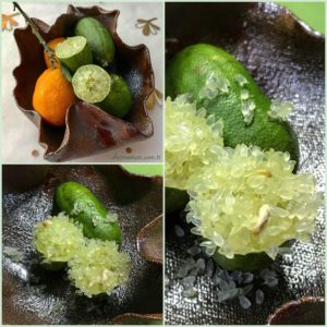 finger-lime